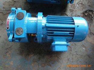 热销推荐 水环式真空泵 SK-0.8水环泵  水环真空泵2sk3