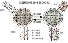 CG-6ʹxӽQ֬Ѫ{зxѪøԭͺ