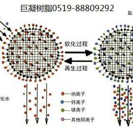 全氟磺酸树脂 色可赛思牌