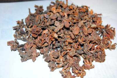 产地直销侧柏壳侧柏壳粉香原料大柏壳枕芯填充|ru