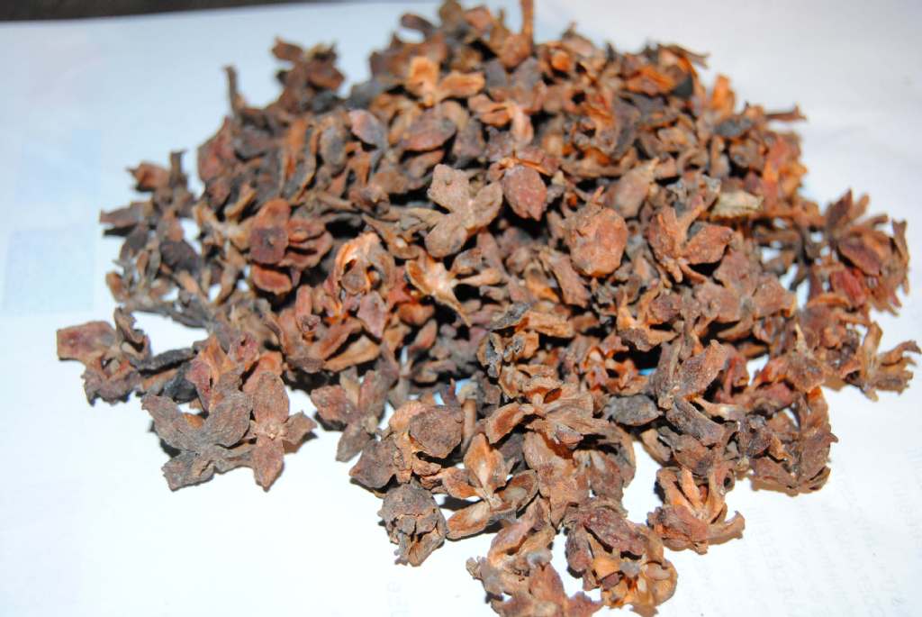 产地直销侧柏壳侧柏壳粉香原料大柏壳枕芯填充|ru