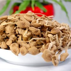 Kangwang Tea Tree Mushroom New Arrival Gutian Specialty Tea Tree Mushroom Ice Mushroom Unopened Umbrella 200g Source Factory Direct Sales Wholesale