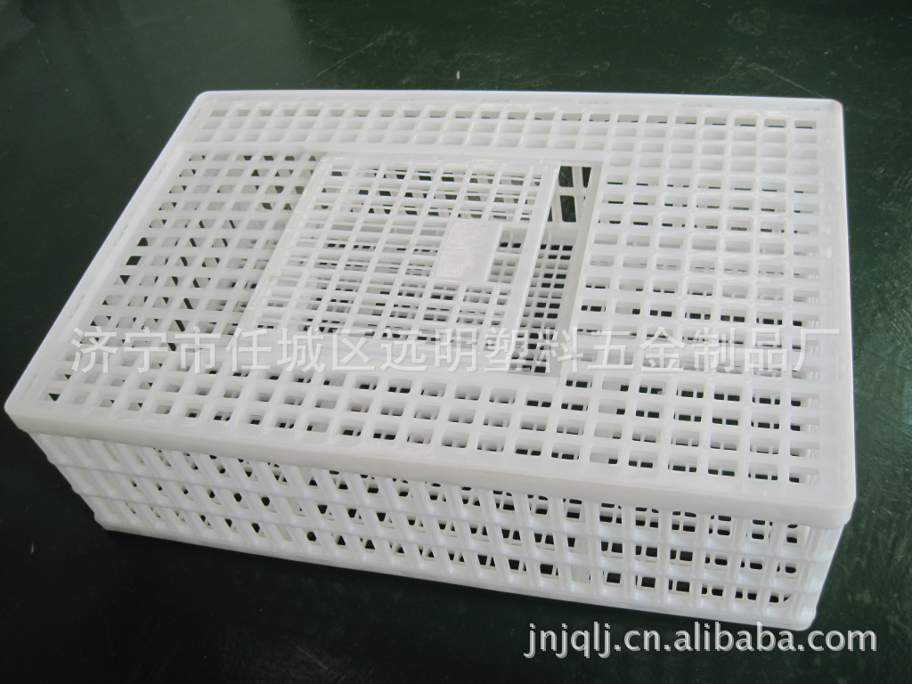 大号塑料活禽周转笼 现货供应 全国发货