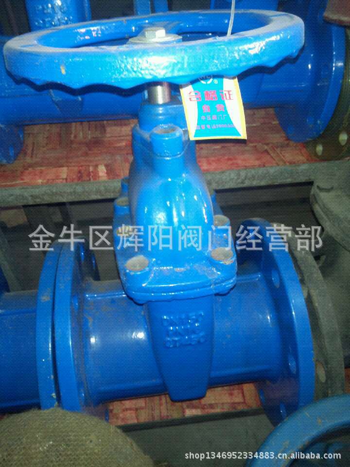  现货供应 球墨铸铁软密封闸阀100，生活用水闸阀100