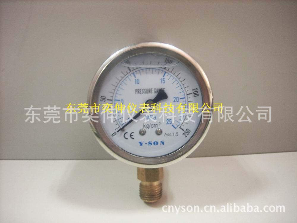 60MM径向0-25MPA/250KG抗震充油表M14*1.5牙，不锈钢油压表压力表