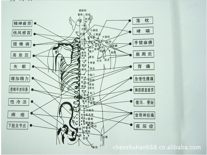 瑞丰RF-889红外线按摩器