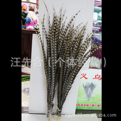 厂家直销铜鸡尾尺寸齐全.天然羽毛环保颜色多种色彩靓丽。详情图1