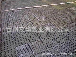 蓄排水板 排水板绿化 排水板屋顶 厂家直销 滤水板 地下室排水板|ms