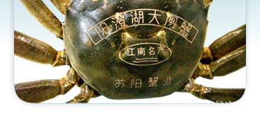 精品海鲜珍品梭子蟹海鲜产品螃蟹打标，三工光电激光打标机打码机