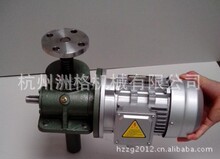 ���������z�U�����C �~��ĸ������ȫ����