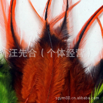 公鸡尾不脱染羽毛，15-20,20-25,25-30cm颜色可以自选详情图12