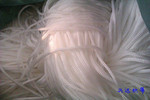 ����ֱ�� 3mm 900D ������ PP�� ��ͨ��