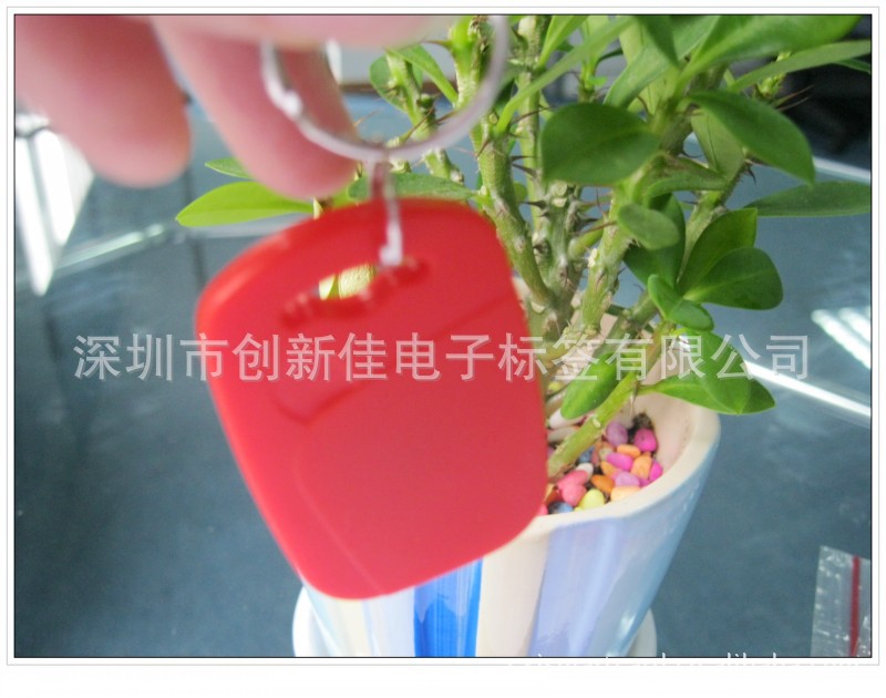 conew_照片 146