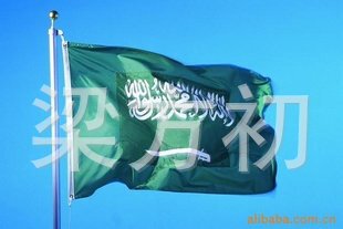 深圳厂家供应沙滩旗/沙滩刀旗/汽车旗帜/厂家直销批发,广告旗帜