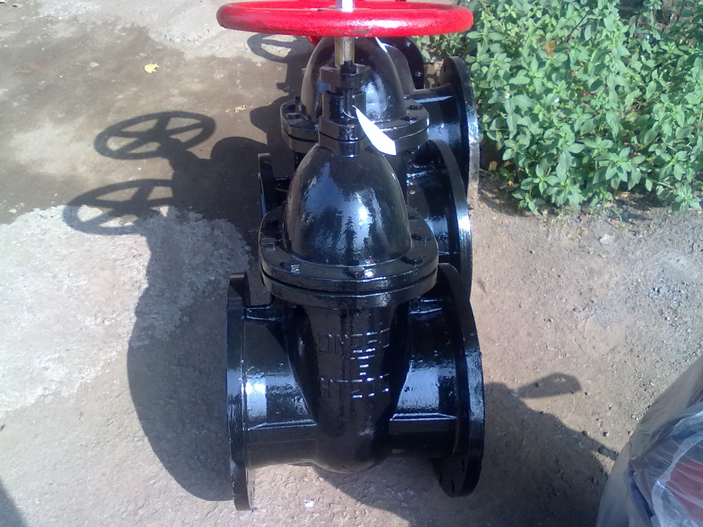 纯铜杆闸阀 Z45T-10 DN125 厂家直销 质优价美