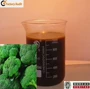 sulforaphane种子萝卜提取物