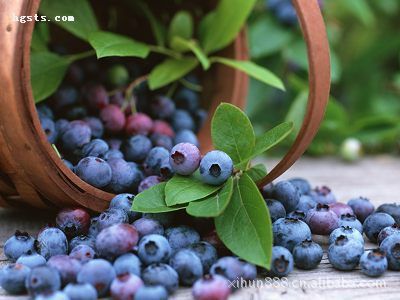 烟用香精 水果香精 蓝莓 草莓 菠萝  苹果 香蕉 水蜜桃