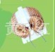 专业磁环电感厂家直销 白壳电感  扼流圈25*15*12 滤波共模电感