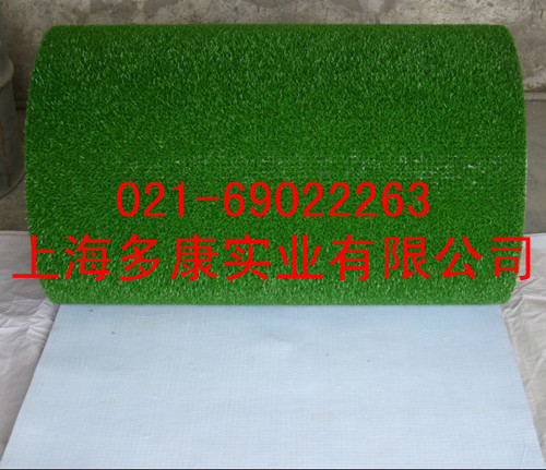 供应增金草、金毡、粘金毯