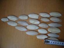 ���l������ĥ ��߅ ī�~�� 8-10cm  �r�aƷ ��ș�ġ�������Ʒ