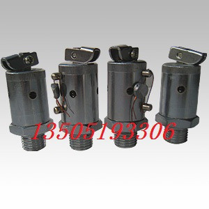 弹簧式放汽阀 排气阀/手提式蒸汽灭菌器 医用消毒锅(配件)