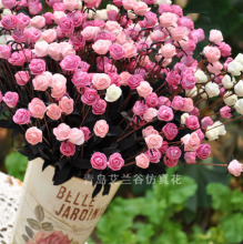 ���滨���� A0215ͷŷʽ õ�廨 �ٻ����� װ�λ����� ����õ�廨