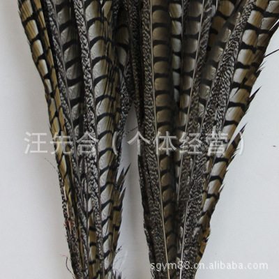 厂家直销铜鸡尾尺寸齐全.天然羽毛环保颜色多种色彩靓丽。详情图2