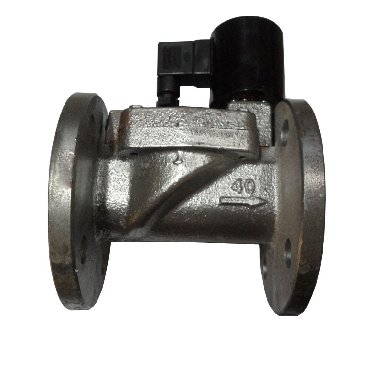 DF-40F 水用电磁阀 铸铁材质 法兰连接 余姚博普 厂家