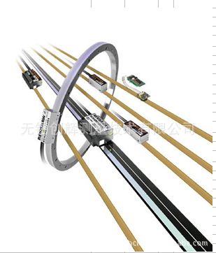 雷尼绍RENISHAW圆光栅、读数头RESR20USA229,光栅尺，编码器