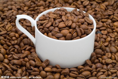 Priced wholesale Cocoa extractive Jujube tincture ,Cocoa Tincture,Tincture of Angelica pubescens,angelica dahurica tincture spice