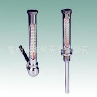 WNY-01玻璃内标式温度计多少钱