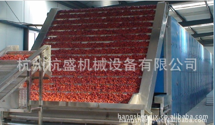 大枣光电分级机