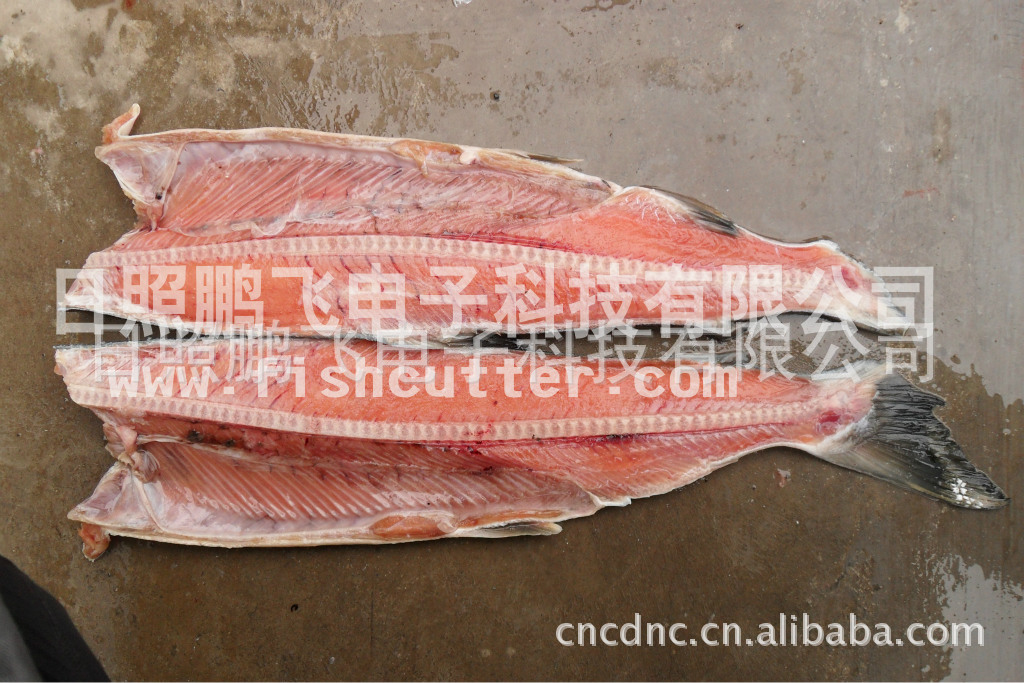 去鱼骨刺全自动鱼类机械