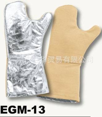 Technora ͷ и ͸ EGM-13