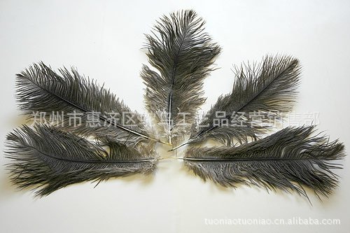 15~20CM The specifications[Ostrich feather colour clothing ostrich Wool top clothing accessories stage show Feather