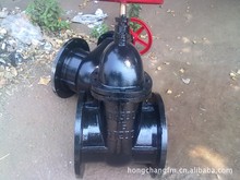 ~Uly Z45T-10 DN65 SֱN |r