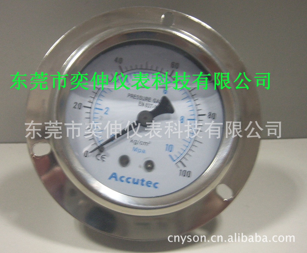 ACCUTE牌不锈钢压力表0-10MPA/100KG接口1/4PT，背式带边充油表