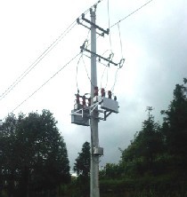 XBZW-12高压无功自动补偿装置