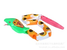 8������Ť������W���� ����� ������ ģ���� �����ڻ����