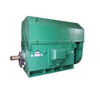 西玛电机 YR8004-16 1400KW 6KV高压电机 西玛电机