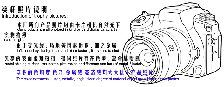 未标题-100 拷贝