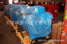 VCIP {ɫSɫ ̼䓺ϽlәC  hP