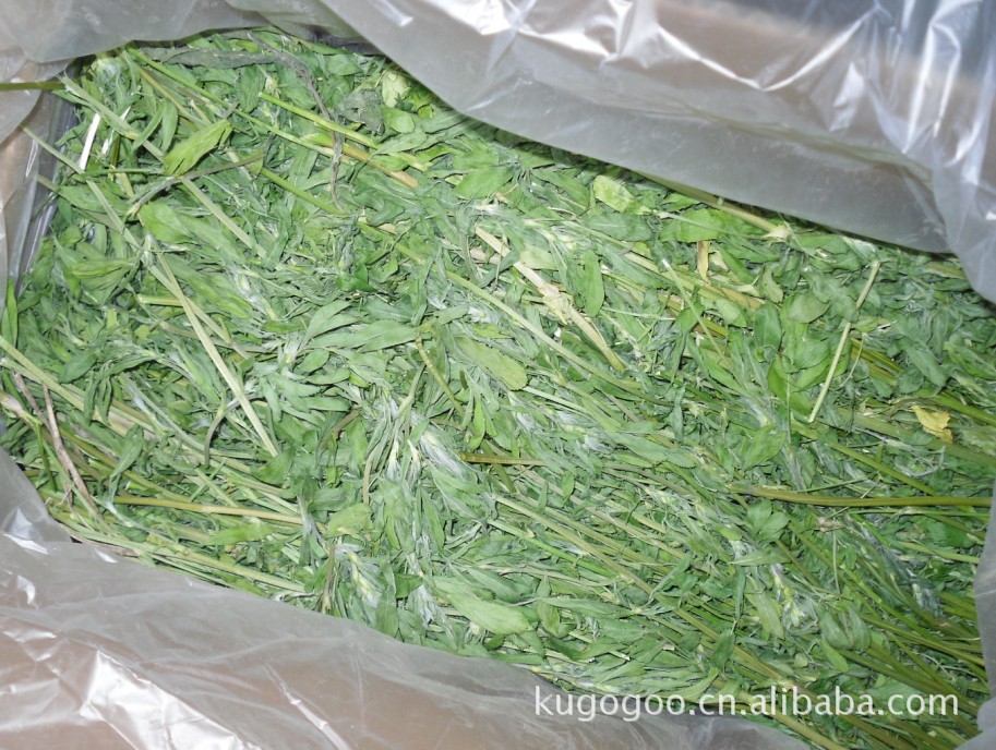烤制紫花苜蓿草 兔粮龙猫粮食 荷兰猪粮食 4箱包邮|ms