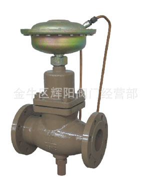 供应 铸钢自力式流量调节阀/自力式压力流量组合阀