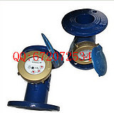 上海朗科旋翼式水表LXS-250E*法兰水表DN250