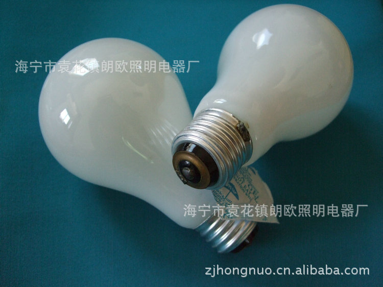 Induction bulb