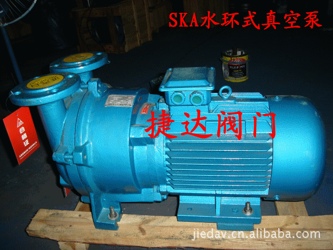 SKA5111水环式真空泵