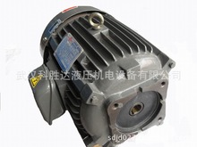 供应液压电机/台湾群策卧式油压专用马达HSW型CO3-43BO2.25KW功率