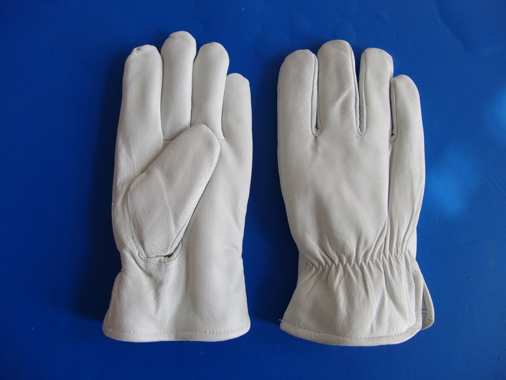 02JT-PG-O05  ëȦ������Ƥ�ͱ����� �������� ��������