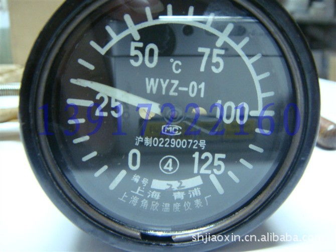 WYZ-01 尾长1-25   米/0-125度/遥测温度计/上海角欣温度仪表厂